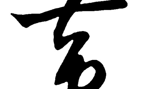 权威药材杜仲的功效与主治平台,分享专业药材杜仲的功效与主治知识_药材杜仲的功效网